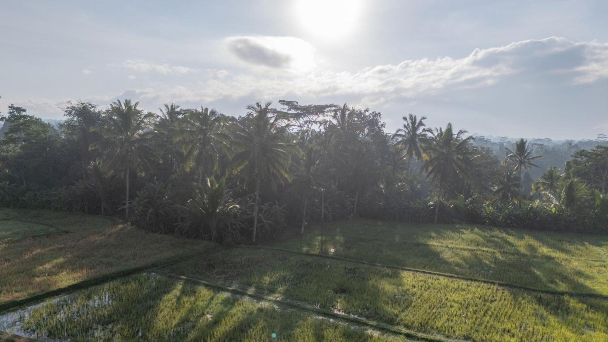 Aditara Sebatu Villa Ubud Zewnętrze zdjęcie