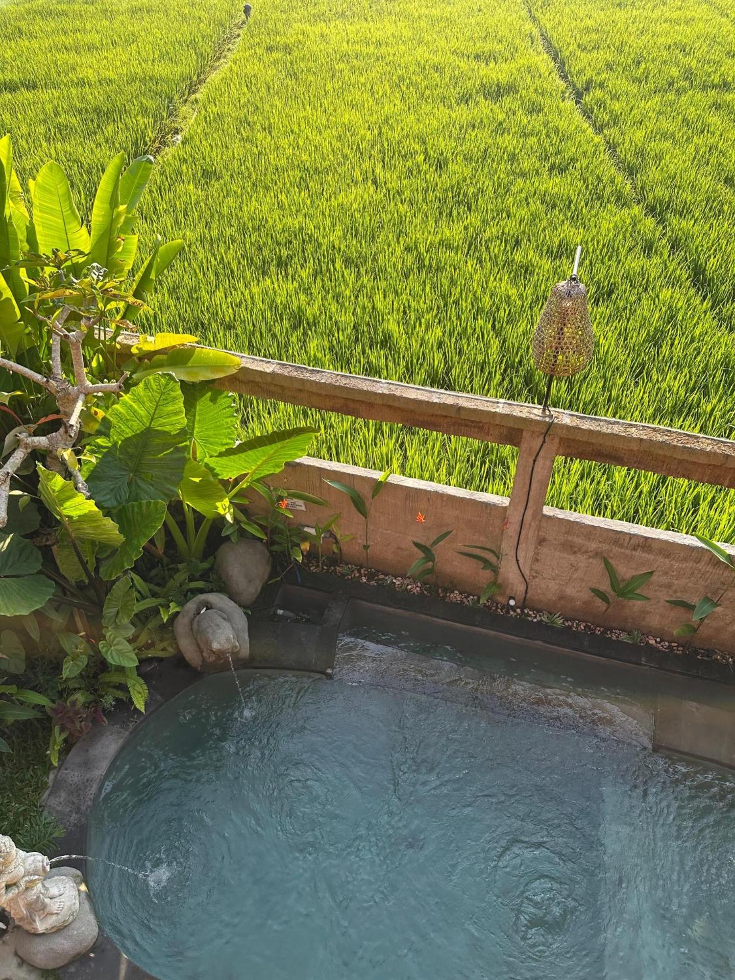 Aditara Sebatu Villa Ubud Zewnętrze zdjęcie