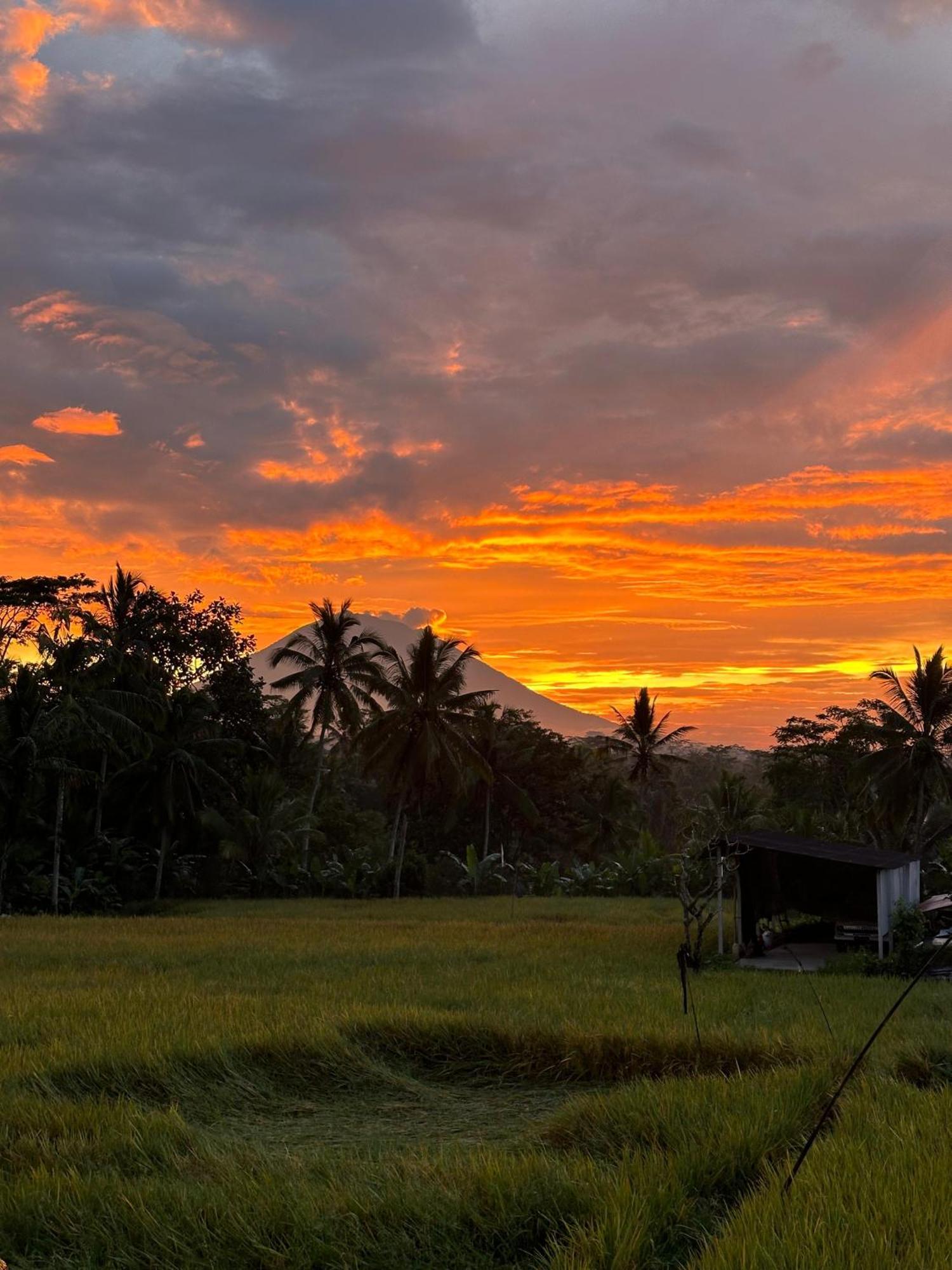Aditara Sebatu Villa Ubud Zewnętrze zdjęcie